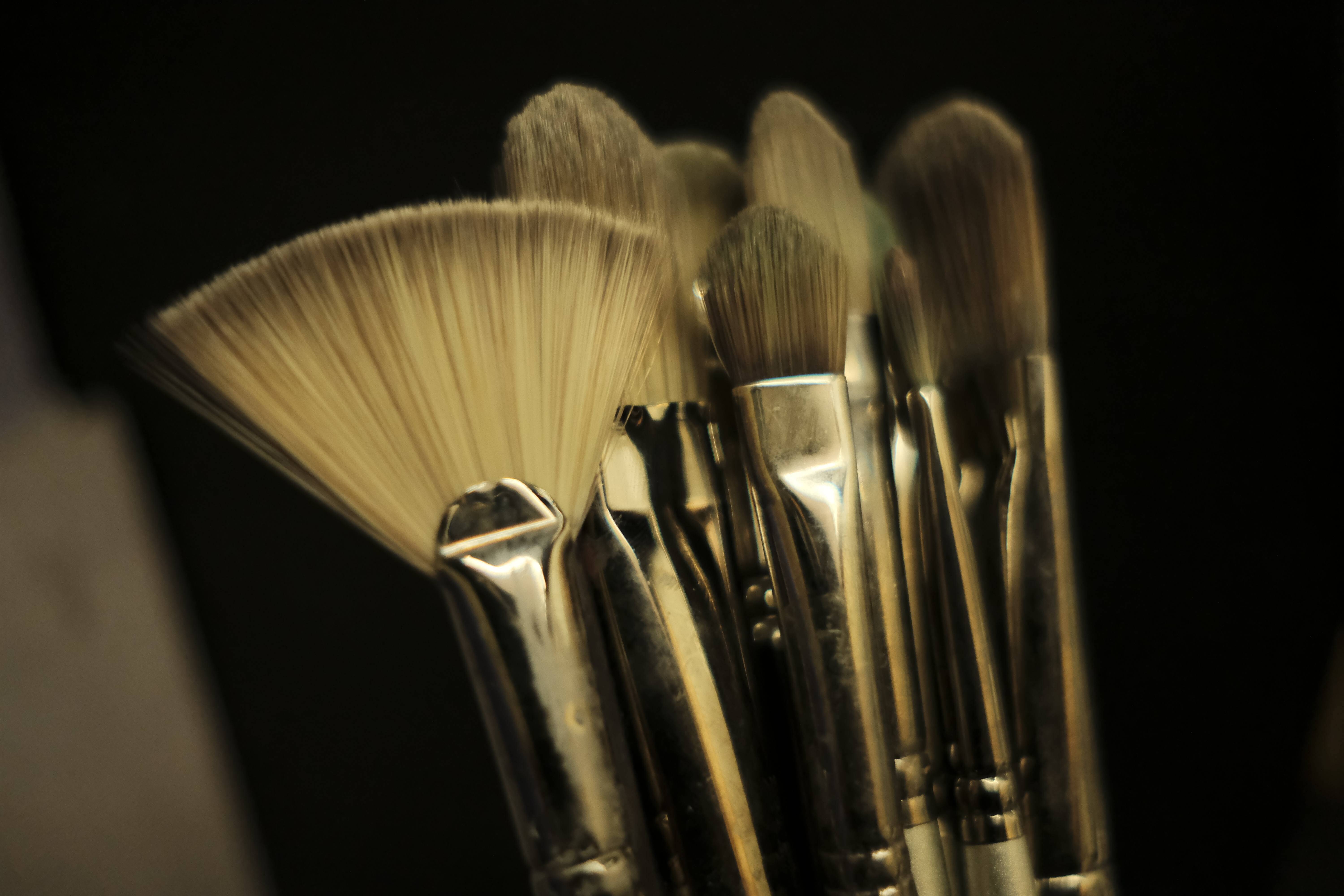 An Artist's Guide to Oil Painting Brushes and the Paintbrush Types