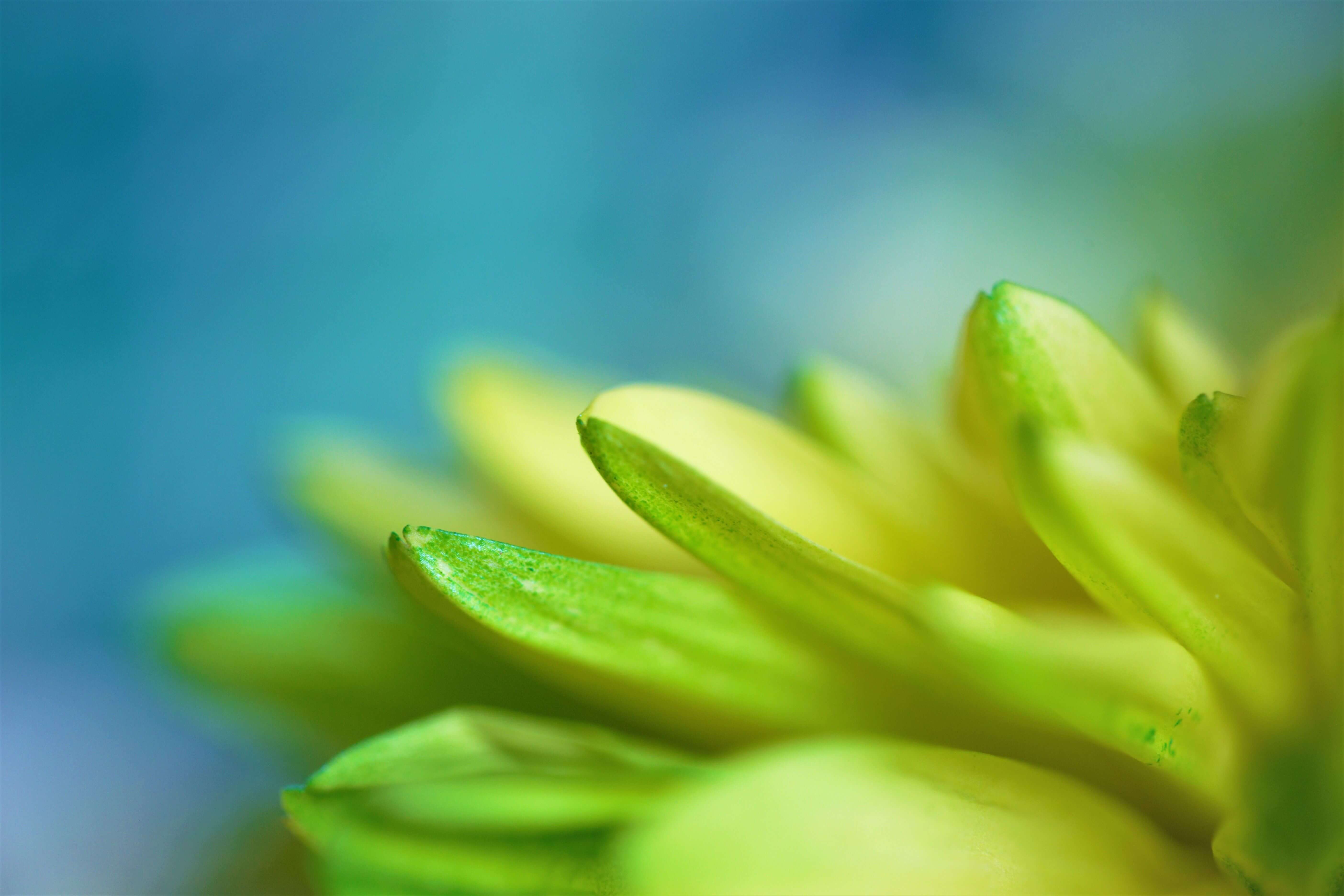sharon-mccutcheon-yCZfb_mL-O8-unsplash