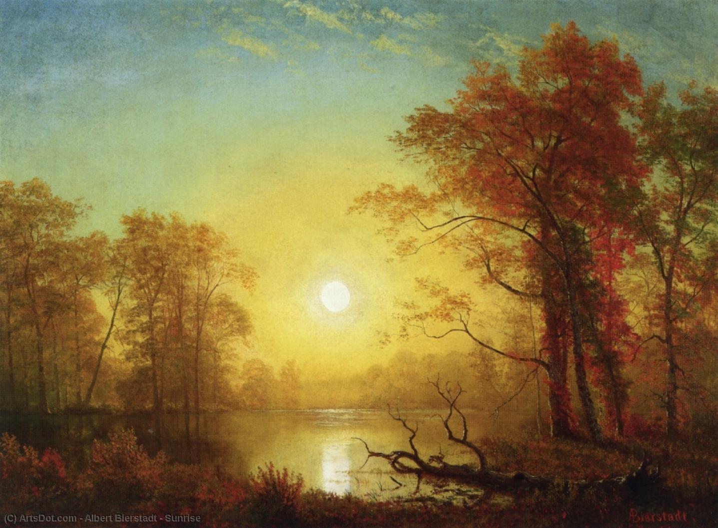 Light can evoke strong feelings as evident in this painting Sunrise by Albert Bierstadt.