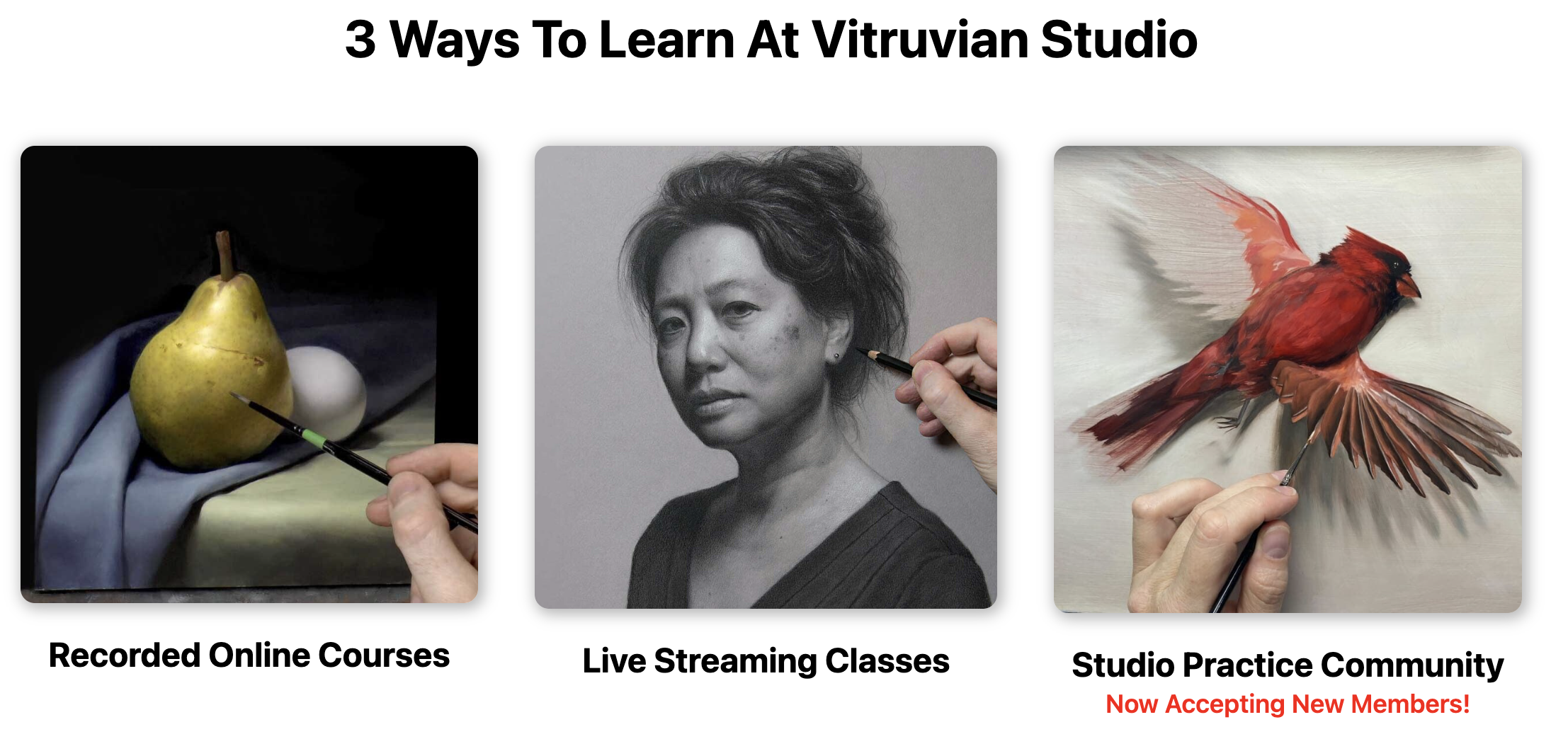 The Studio Practice Community is an add-on to how students can learn at Vitruvian Studio.
